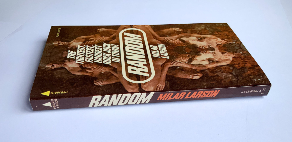 US Sleaze pulp fiction book 1975 RANDOM by Milar Larson